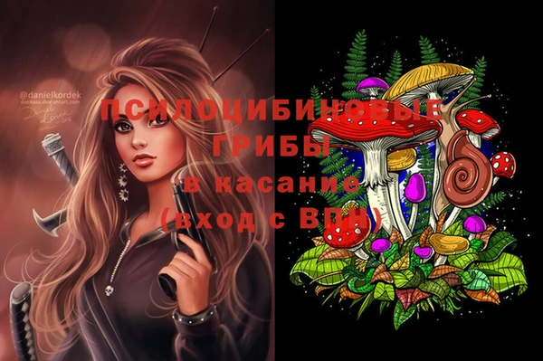 ALPHA PVP Осинники