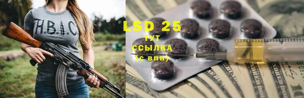 ALPHA PVP Осинники
