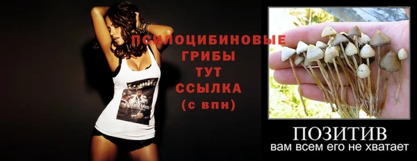 ALPHA PVP Осинники