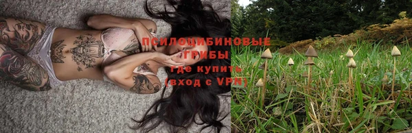 ALPHA PVP Осинники