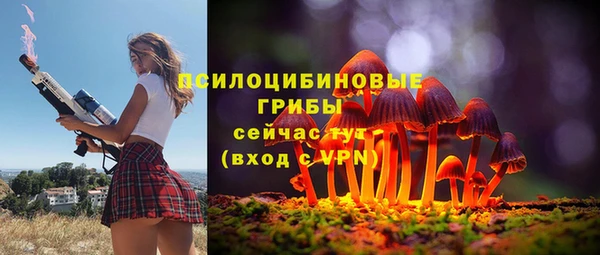 apvp Осташков
